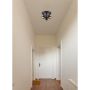 Oeil De Base 3-Light Canopy Fixture