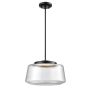 Lunenberg 14" LED Pendant - Ebony Hammered Clear Glass