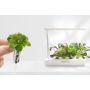 VegeHome Indoor Garden