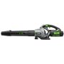 Ego 615 CFM Leaf Blower Kit