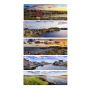 21" x 60" Assorted Coastal Theme Canvas