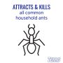 Terro Outdoor Liquid Ant Bait Stakes