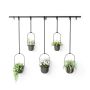 Triflora 5 Black Hanging Planter