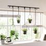 Triflora 5 Black Hanging Planter