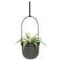 Triflora 5 Black Hanging Planter