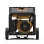 Dual Fuel Portable Generator 3650W Recoil Start