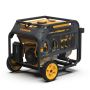 Dual Fuel Portable Generator 3650W Recoil Start