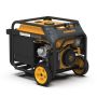Dual Fuel Portable Generator 3650W Recoil Start