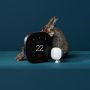 Ecobee Smart Thermostat Premium With Voice Control & Sensor