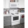 30in Freestanding Electric Range