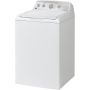 4.9 cu.ft. Top Loading Washer with SaniFresh Cycle