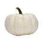 White Pumpkin