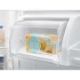 30in 18cu.ft. Top Mount Freezer Refrigerator