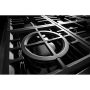 Cuisinière amovible à biénergie de 36po à convection véritab