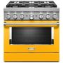 Cuisinière amovible à biénergie de 36po à convection véritab