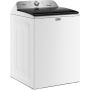 5.5 cu. ft. Top Loading Washer with Pet Pro System TL