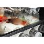 23" 5.1 cu. ft. Undercounter Refrigerator