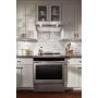 30" Under-Cabinet Range Hood