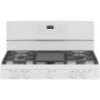 30" Freestanding Gas Range with Convection Technology