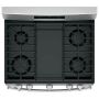 30 inch Free-Standing Gas Range in Stainless Steel