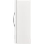 20 cu.ft. Upright Freezer with LED Lighting