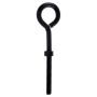 Black Eyebolt With Nut 3/8-16X6"