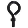 Black Eyebolt With Nut 1/2-13X4"