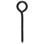 Black Lag Eyebolt 1/4X3-3/4"