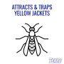 Terro Wasp Trap With Bait