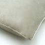 Seren Velvet Decorative Pillow 20 x 20