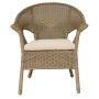Algonquin Chair With Cushion