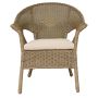 Chaise Algonquin avec Coussin