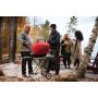 Napoleon TravelQ 285X Portable Propane Gas Grill