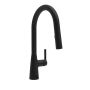 Kitchen Sink Faucet With Swivel Pull-Down Spout
