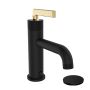 Indy Single Handle, Lavatory Sink Faucet with Volume Control