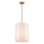 St. Julian 1 Light Pendant Light