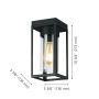 Walker Hill Outdoor Ceiling Light 1L- Black