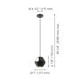 Rasigures Pendant Light 1L, Black and Gold Finish