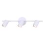 REXTON Track 3 Light - Straight