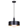Daylon Matte Black Pendant Light