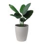 17" Momoka Planter