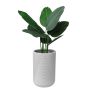 Gavin Tall Pot 14" x 22"