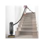 Shark Navigator Self-Cleaning Brushroll Pet Upright Vacuum