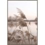 In The Breeze 24x36