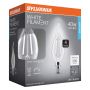B10 Clear Dimmable White Filament LED Bulb Daylight