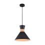 Foster Pendant Light
