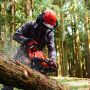 50.2cc Chain Saw 18" Bar