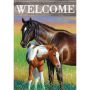 Summer Flag Mare & Foal