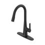 American Standard Calusa Pull Down Dual Spray Kitchen Faucet