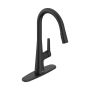 American Standard Calusa Pull Down Dual Spray Kitchen Faucet
